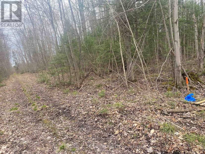 00 County Rd 44 Road, Edwardsburgh/Cardinal, photo 3