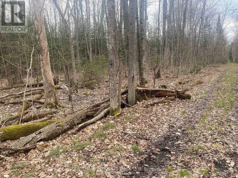 00 County Rd 44 Road, Edwardsburgh/Cardinal, photo 4