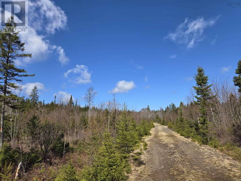 Lot 13 Hill Street — photo 16 of 18