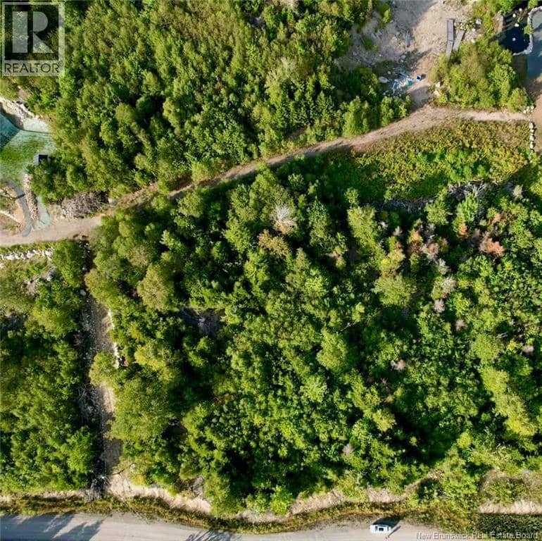 1191  137 Route 785, Utopia, photo 6