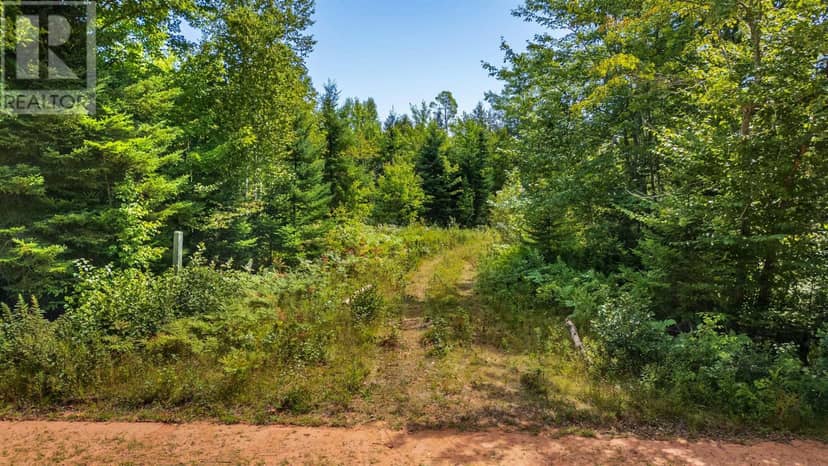ACREAGE PORTAGE Road, DeGros Marsh, photo 2