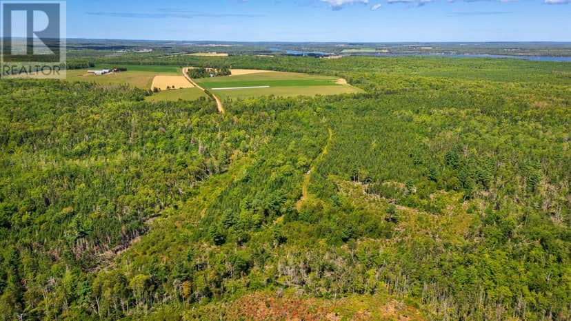 ACREAGE PORTAGE Road, DeGros Marsh, photo 6