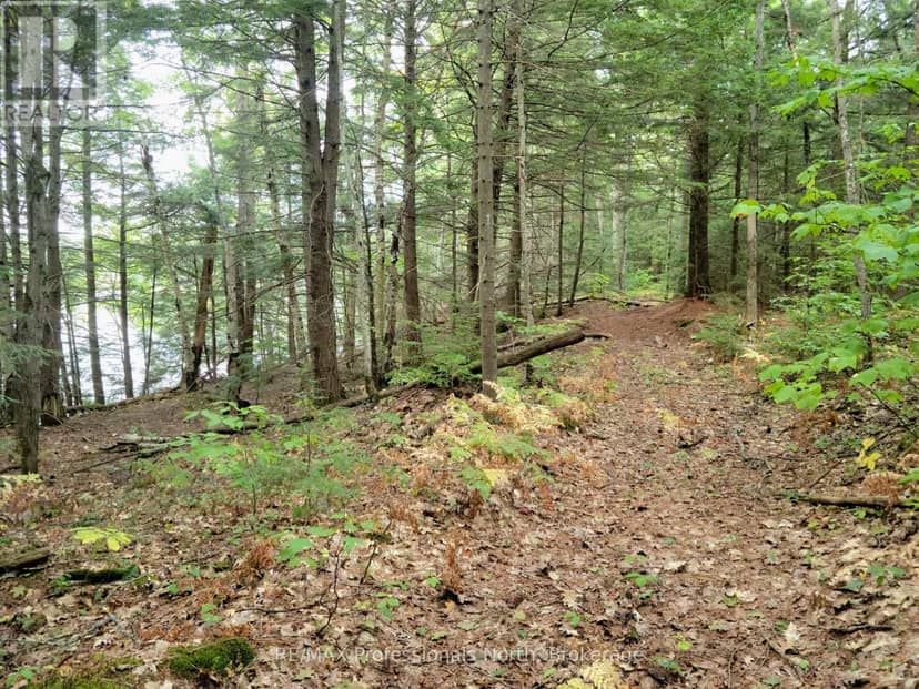 Lot 9 & 10 Concession 5 — photo 18 of 23