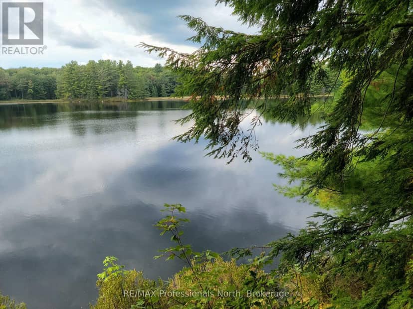 Lot 9 & 10 Concession 5, Lake of Bays, photo 3