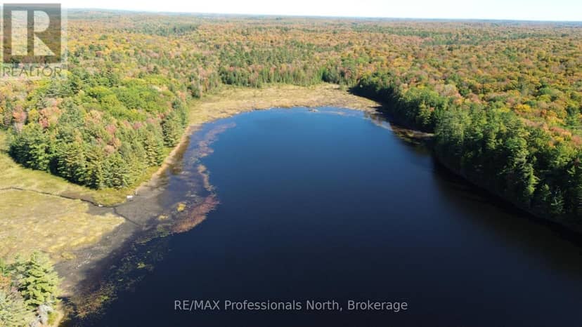 Lot 9 & 10 Concession 5, Lake of Bays, photo 4