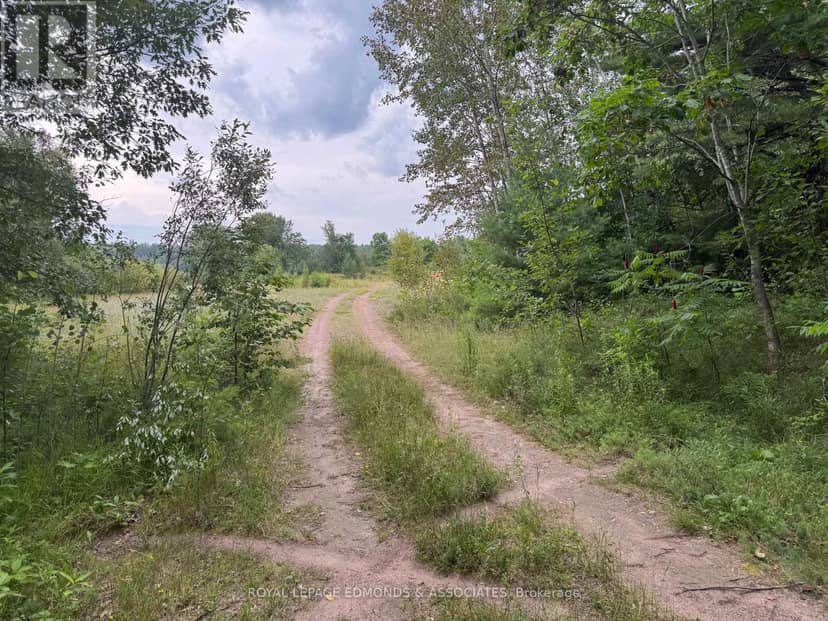 705 Rantz Road — photo 3 of 14