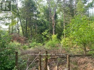17556 Highway 62 — photo 14 of 33