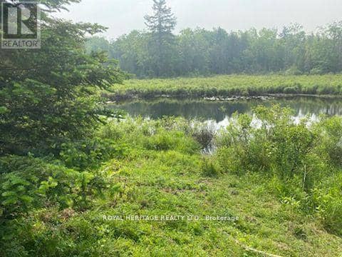 17556 Highway 62 — photo 18 of 33