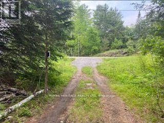 17556 Highway 62, Madoc, photo 7