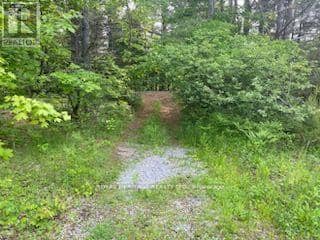 17556 Highway 62, Madoc, photo 8