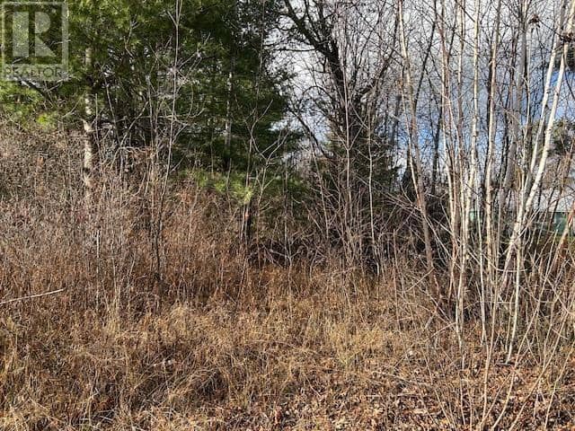 34 Mississagi CRES — photo 4 of 5