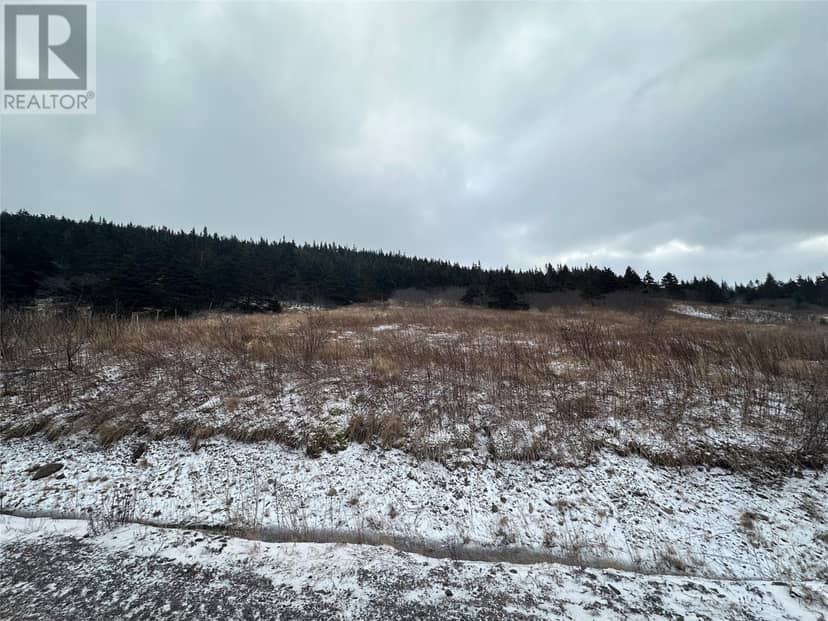 6B Top Road, Branch
