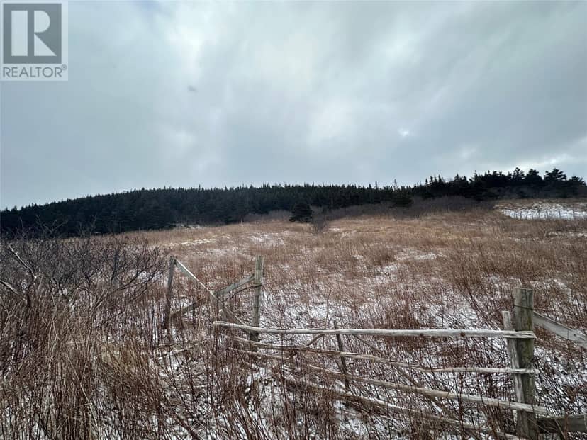 6B Top Road, Branch, photo 3