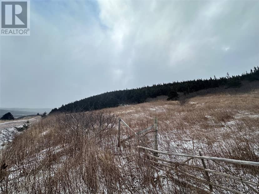 6B Top Road, Branch, photo 4