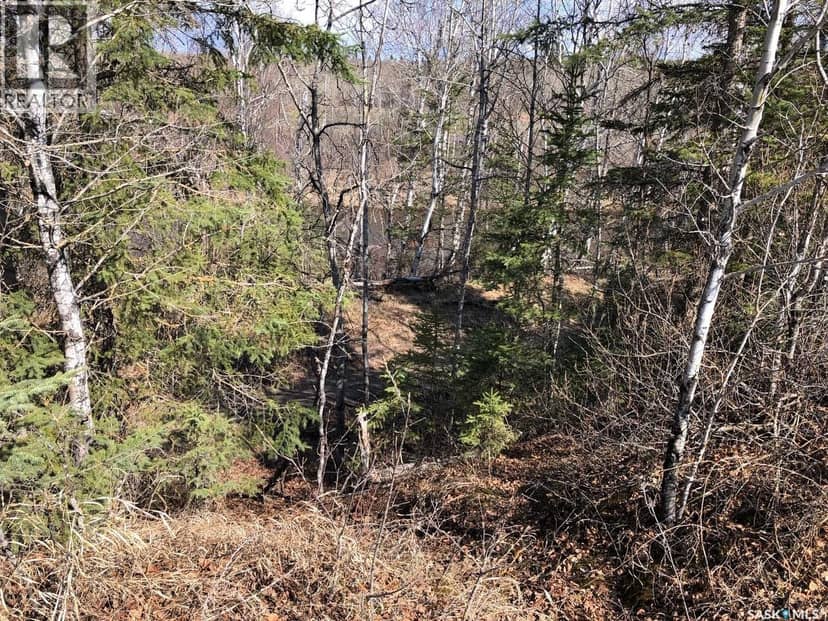 Rec lot 12/2, Hudson Bay Rm No. 394, photo 4