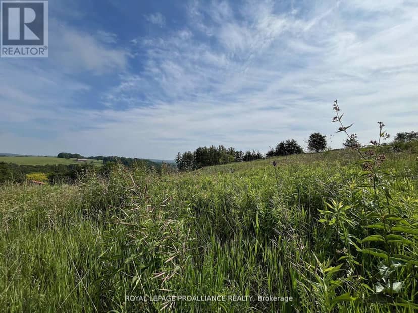 Lot 24 McCarty Drive — photo 6 of 13