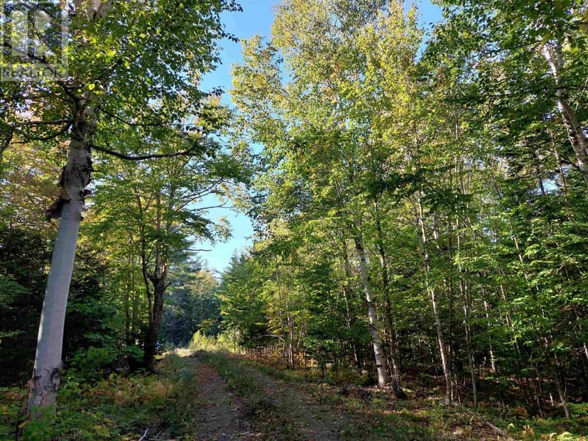 Lot 50 Redbird Dr., Malagawatch, photo 7