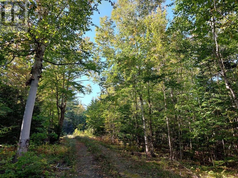 Lot 50 Redbird Dr. — photo 18 of 21