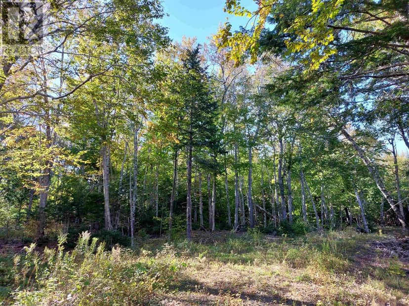 Lot 50 Redbird Dr. — photo 16 of 21