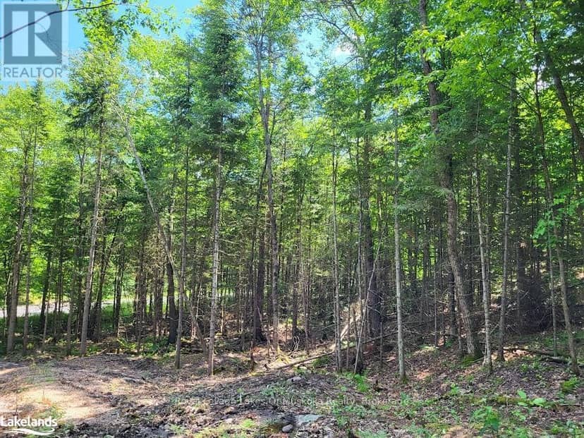 Lot 5 Fairy Falls Road — photo 10 of 17