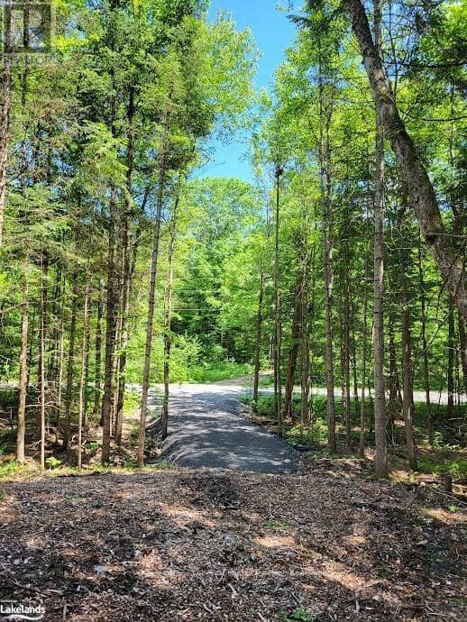 Lot 5 Fairy Falls Road — photo 16 of 17