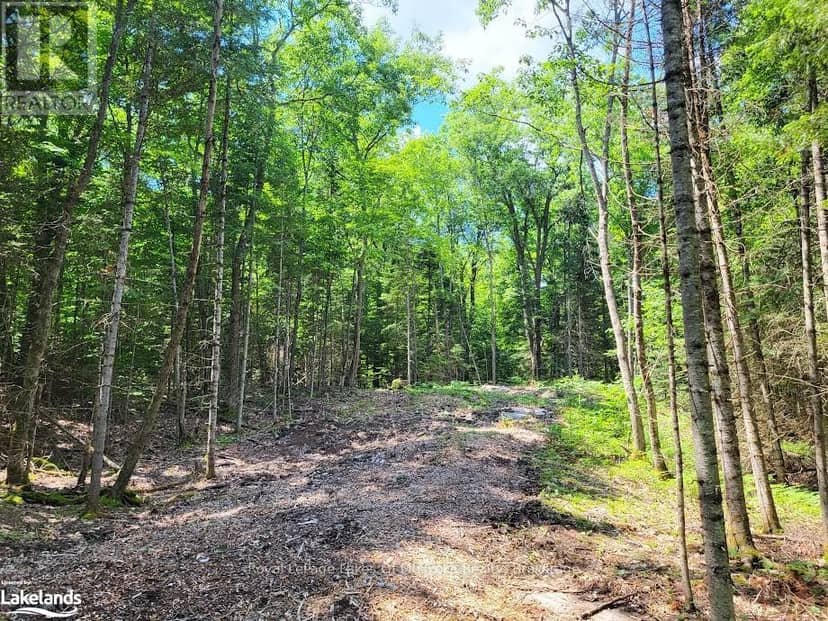 Lot 5 Fairy Falls Road, Lake of Bays, photo 5