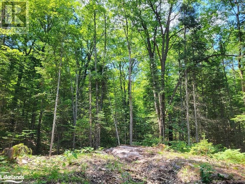Lot 5 Fairy Falls Road — photo 9 of 17