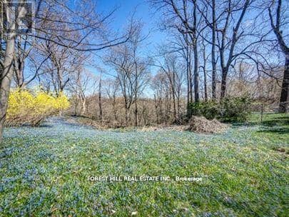 132 Blythwood Road — photo 14 of 20