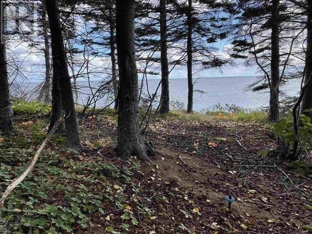 41251 Cabot Trail — photo 21 of 26