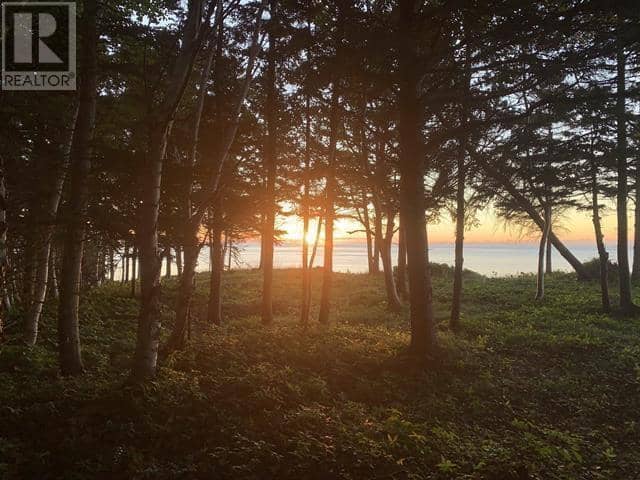 41251 Cabot Trail — photo 23 of 26