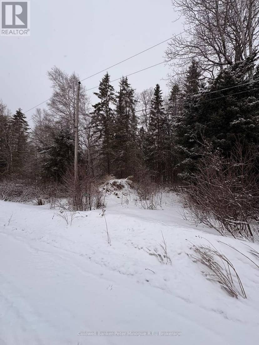 508 Sweezey Street, Powassan, photo 3