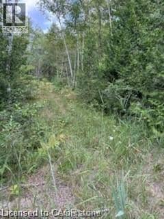 PT LOT 7 WEST IPPERWASH Road — photo 10 of 16