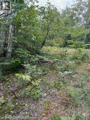 PT LOT 7 WEST IPPERWASH Road — photo 14 of 16