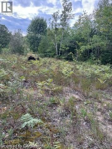 PT LOT 7 WEST IPPERWASH Road — photo 2 of 16