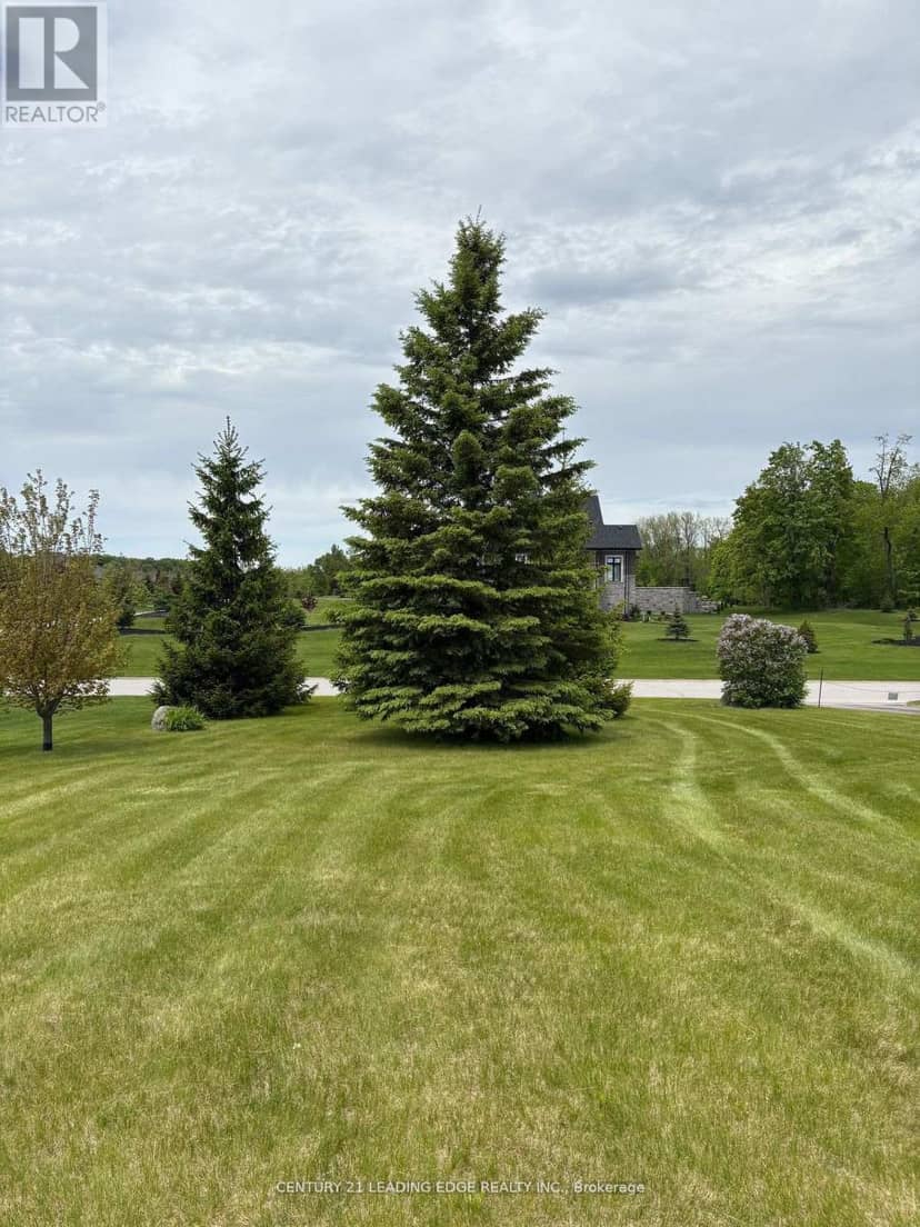 (Part 1) - 7 Clyde Court — photo 18 of 21