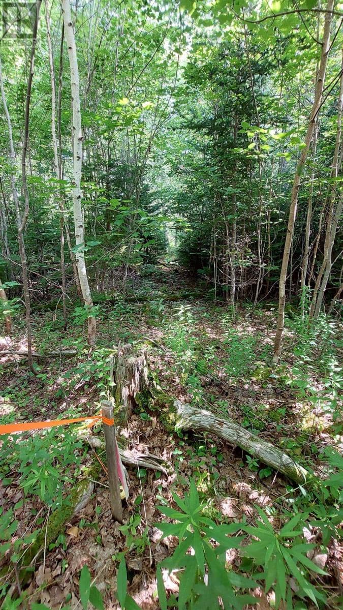 Lot 5 Tranquil Shore Rd — photo 12 of 22