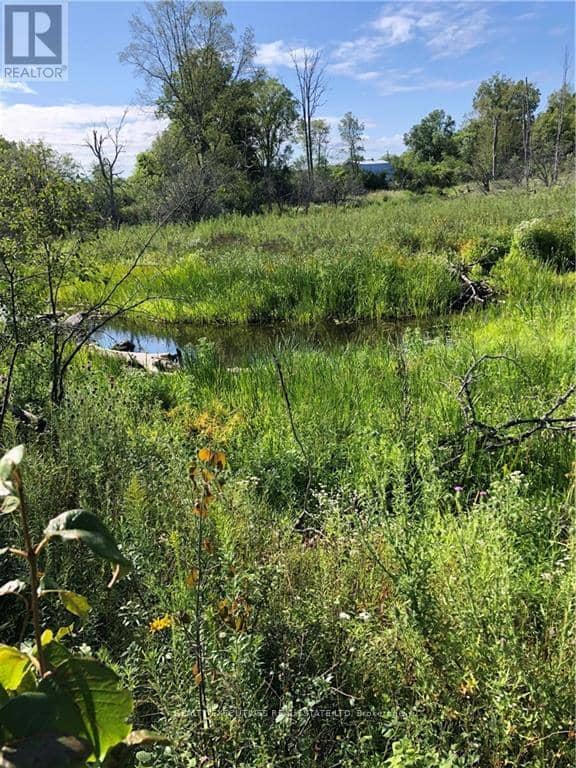 2707 Narrows Lock Road — photo 14 of 23