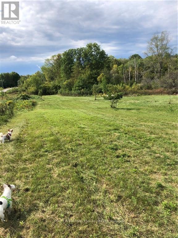2707 Narrows Lock Road — photo 17 of 23