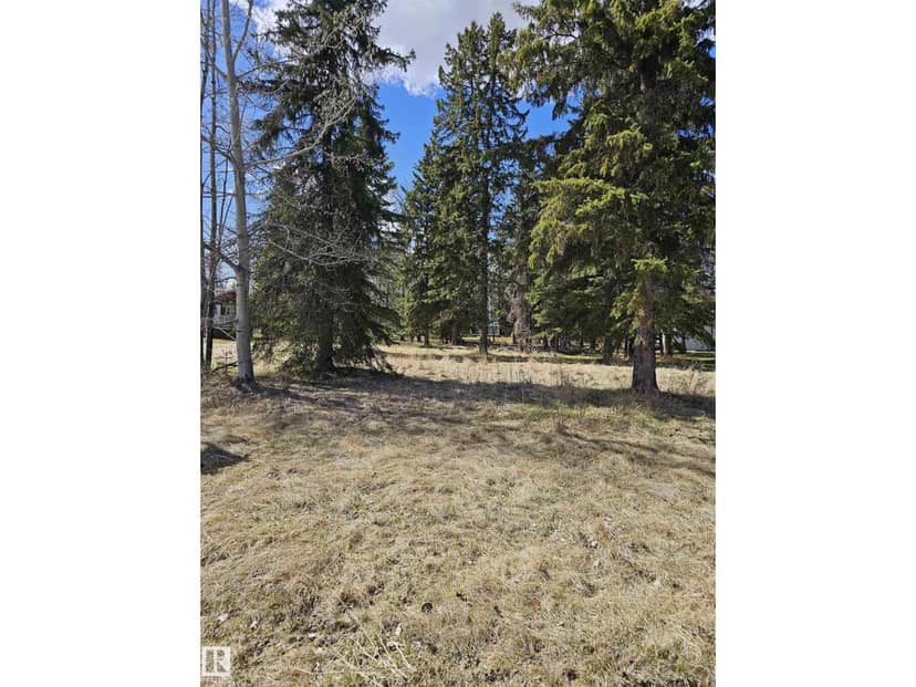 106 2 ST, Rural Wetaskiwin County, photo 5