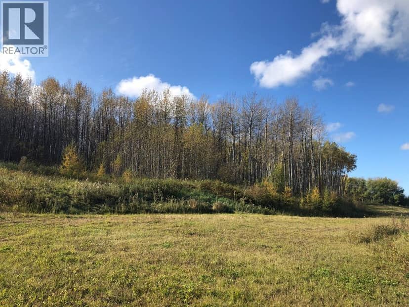 115, 16326 Twp Rd 675, Plamondon