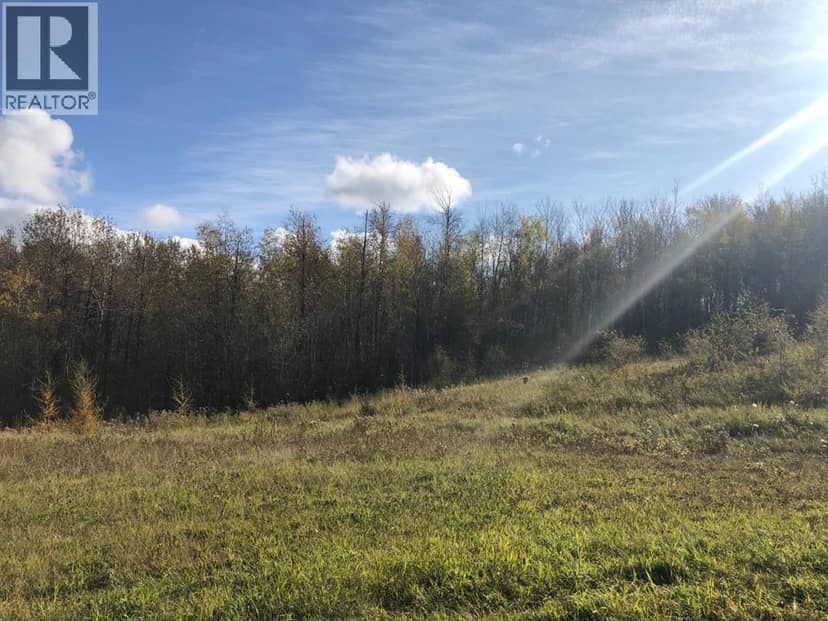 115, 16326 Twp Rd 675, Plamondon, photo 3