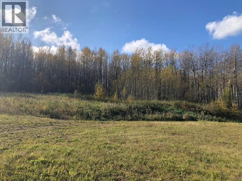 115, 16326 Twp Rd 675, Plamondon, photo 5