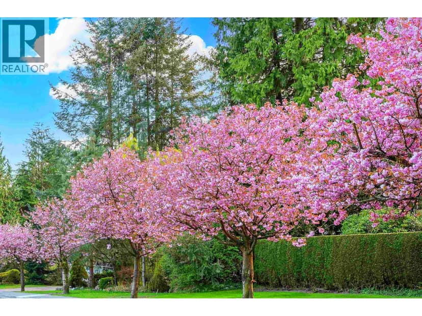5078 MAIN STREET, Vancouver, photo 3