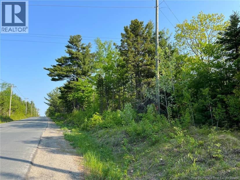 10.2 acres Hansen Road — photo 3 of 4