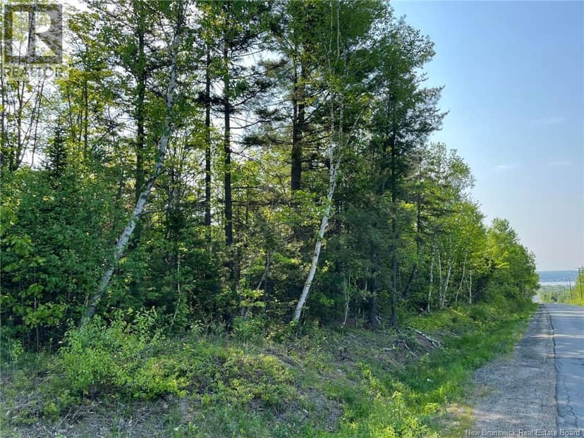 10.2 acres Hansen Road — photo 4 of 4