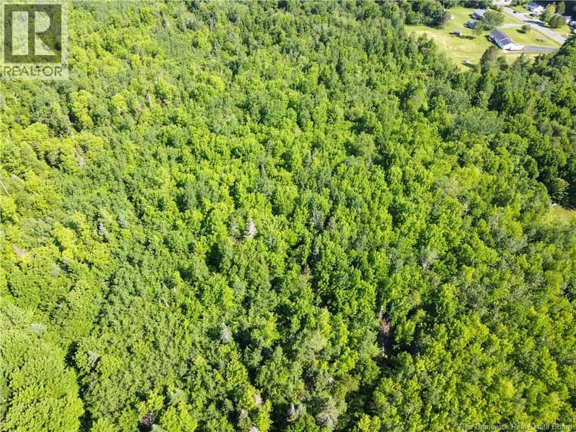 Lot 165 Route — photo 12 of 13