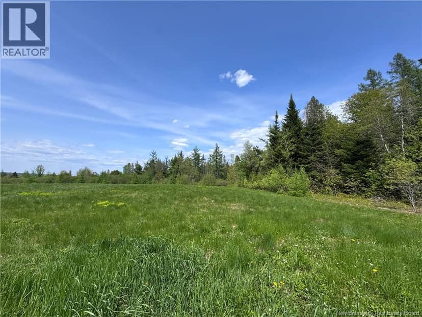Lot Bridge Drive, Cambridge-Narrows, photo 4