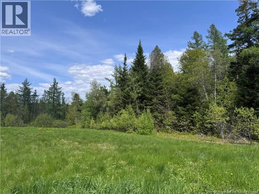 Lot Bridge Drive, Cambridge-Narrows, photo 6
