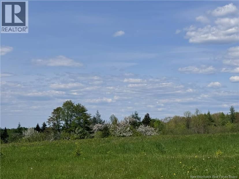 Lot Bridge Drive — photo 9 of 11