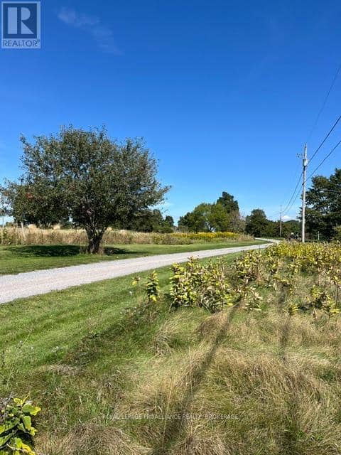 Lot 10 Elizabeth Street — photo 14 of 14